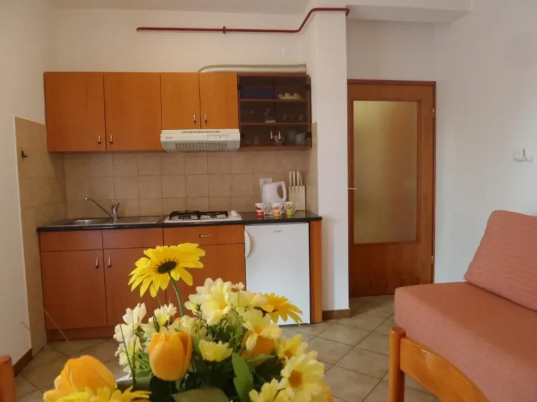 Appartement 1 : cuisine