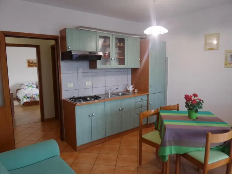 Séjour avec cuisine et table aux fleurs rouges